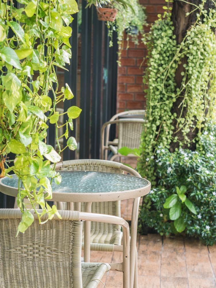 22+ Penting Plante Pour Terrasse Tropical E