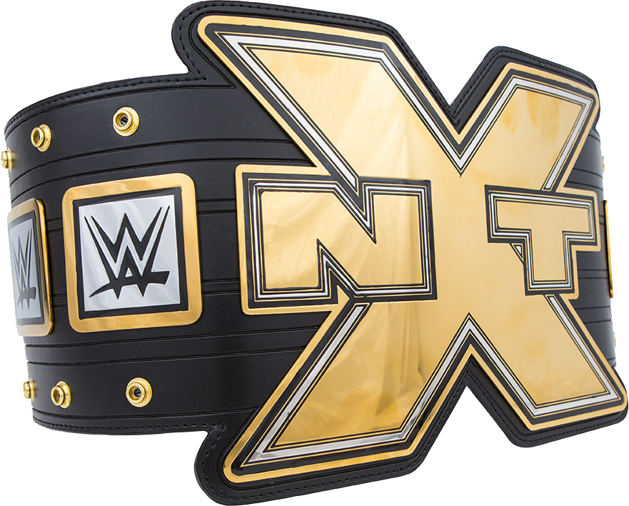 WWE 2016 Title Records - General WWE - BrendenPlayz