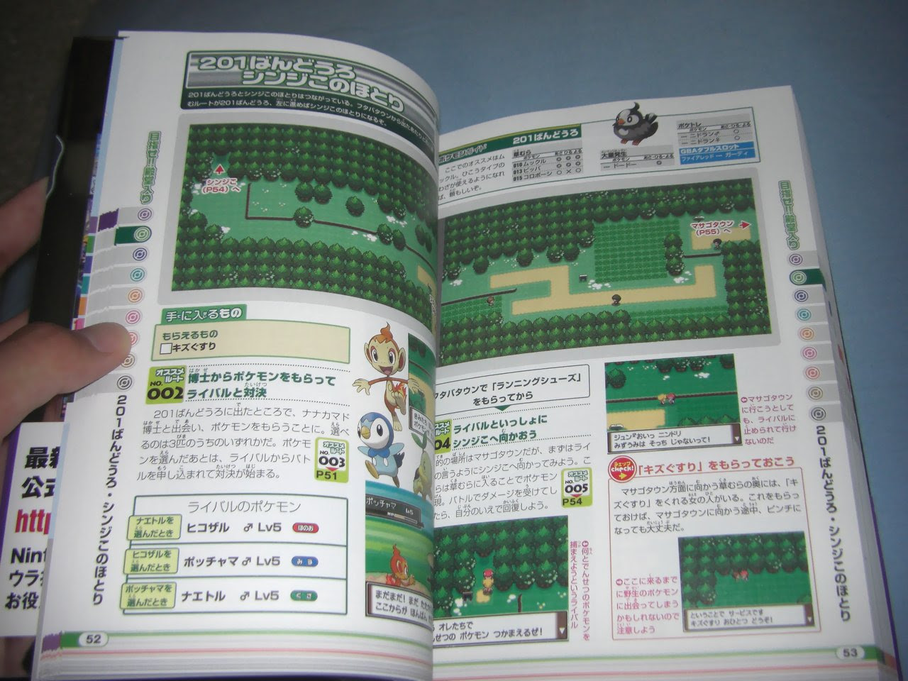 プラチナの攻略本を買ってきた 何とも言えないゲーム日記