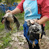 Chinese Woman Killing A Goat : Chinese Woman Killing A Goat - Are Mongolia S Lucrative ... / Woman slaughter goat / educational video.