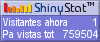 Medidor de visitantes