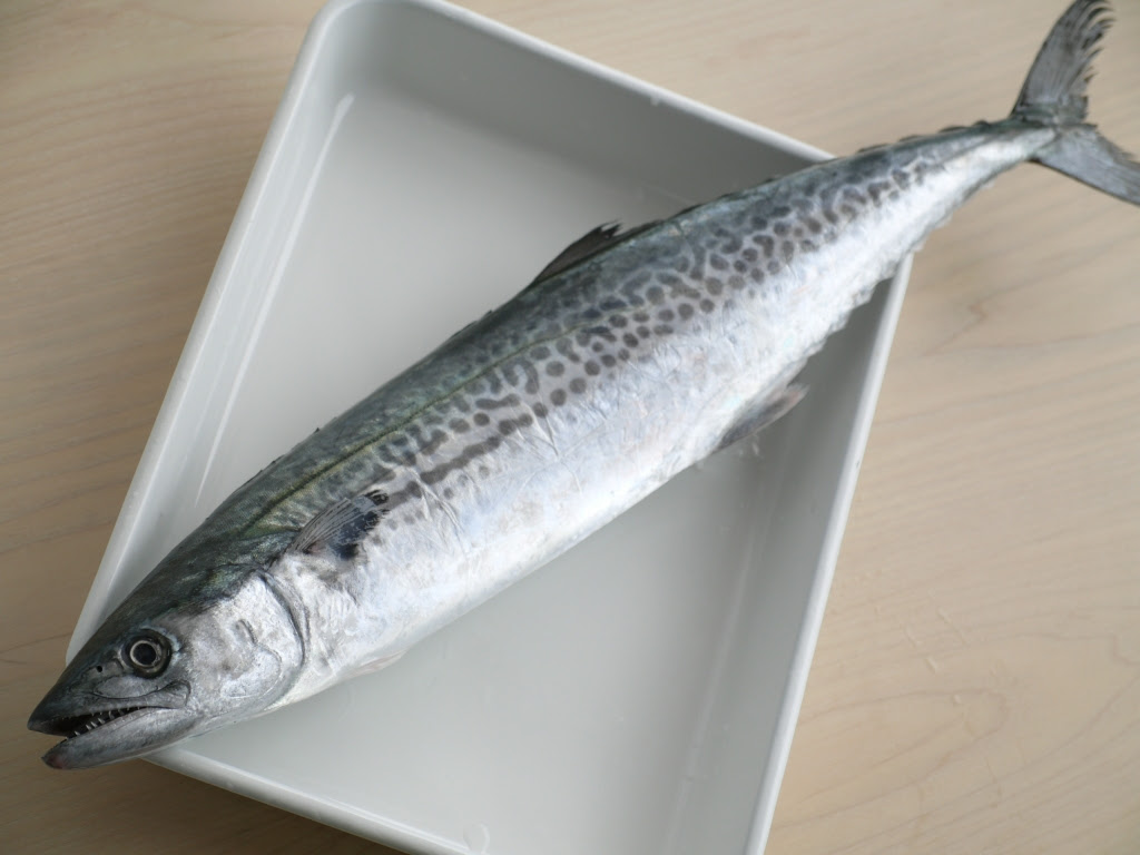 さごちと飯だこ ひとつむぎ 料理サロン