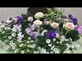 √100以上 ビオラ 寄せ植え 花壇 296189-ビオラ 寄せ植え 花壇