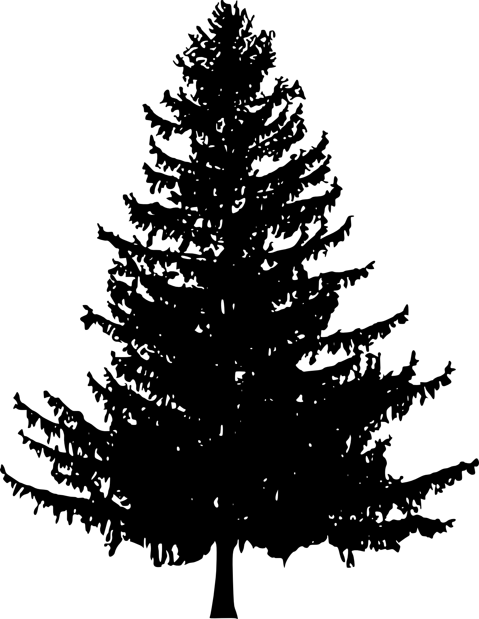 Pine Tree Line Drawing