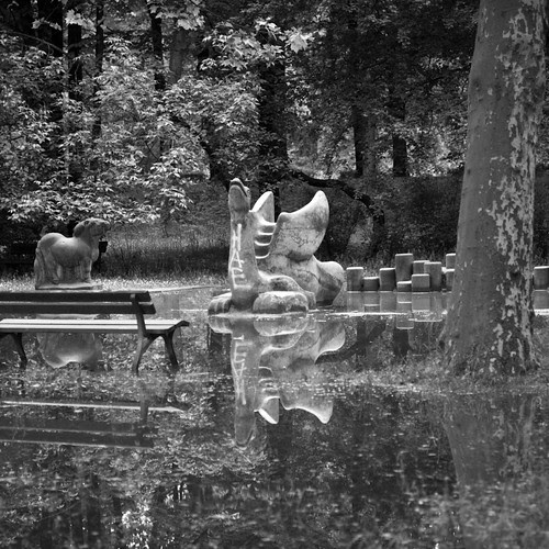 submerged