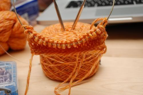 citrus swatch