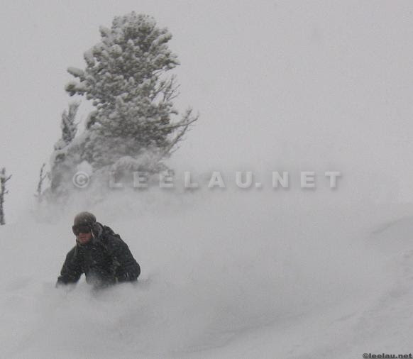 shredding gnar. Brian shredding gnar