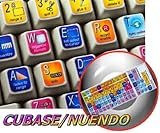 STEINBERG CUBASE