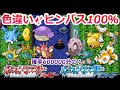 上 ポケモン ルビー ミロカロス 254162-ポケモン ルビー ミロカロス 性格