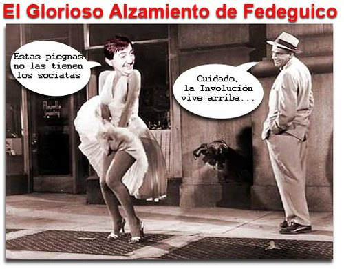 fediguicoinvolucion