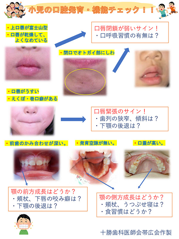 小児期での口腔機能 発育チェックを コラム 帯広市の歯科 歯医者は ますち歯科診療室