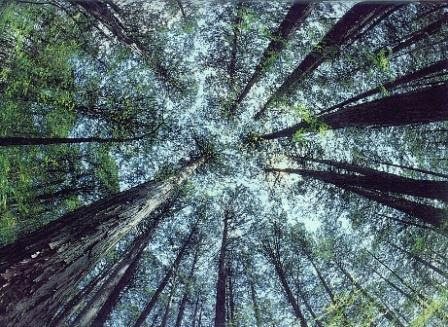 Describe Me In One Song. Can you describe God?