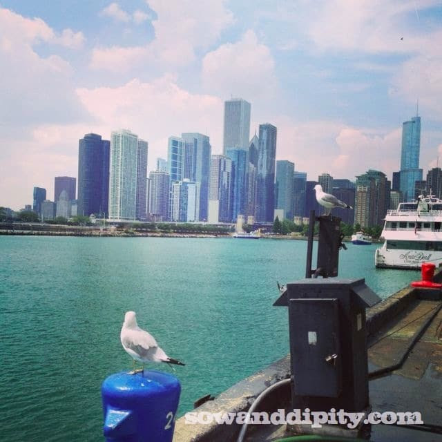 chicago skyline