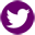  photo twitter.png