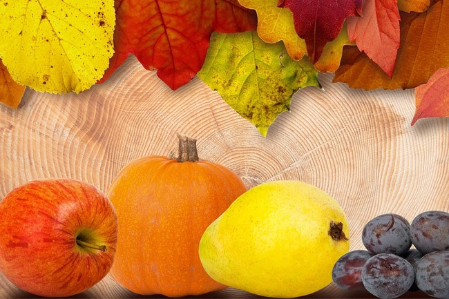 Frutas Otono