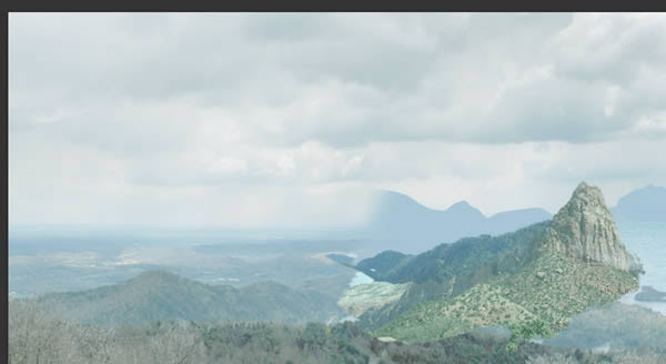 hutan-02 membuat