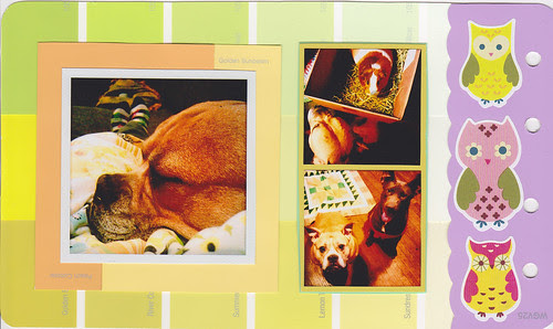 photo book