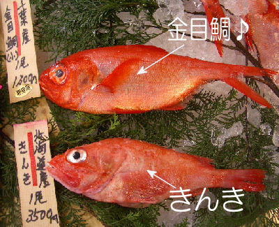 金目鯛ときんきのちがい 今日の黒門三平 楽天ブログ