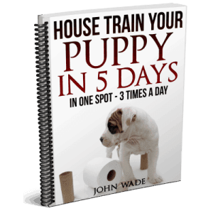 House training problem with 2 year old dog. – Puppy and Dog ...