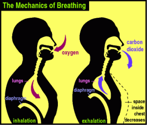 breathing