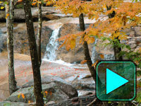 If the River Could Speak