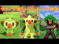 ポケモン ソード ヒバニー 進化 249171-ポケモン ソード ヒバニー 進化