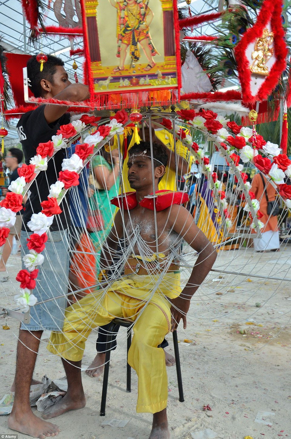 Kavadis can weigh up to 66lbs. A disciple in Singapore sits still while his friends straighten his yoke, preparing him for the temple processions