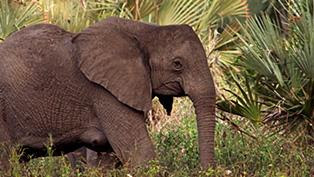 10572_411fac00c3df193cf777bc45f7d444d4.j