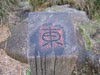 Image00014