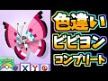 [最も共有された！ √] ポケモンgo ビビヨン 227084