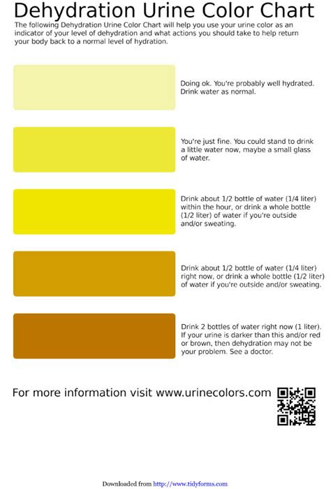  8 color scale urine hydration chart download scientific diagram urine
