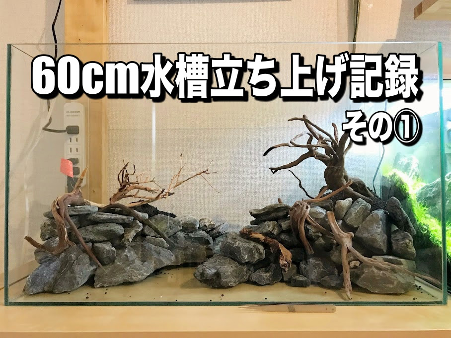水草レイアウト60cm水槽の立ち上げ 石組み 流木組み 軽石を使った底床の方法 Aqua24アクアリウム