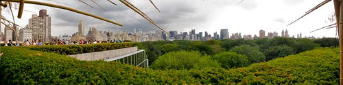 Metropolitan Museum of Art Rooftop View