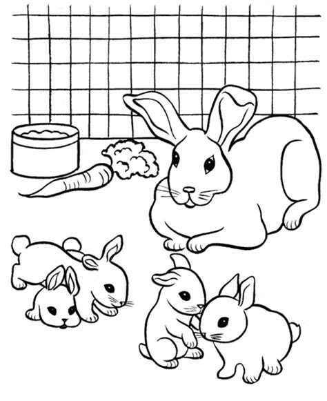 Printable rabbit coloring pages for kids. get this online printable rabbit coloring pages 4g45s
