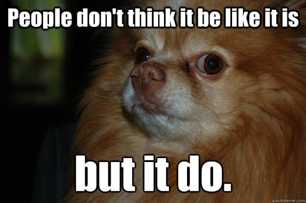 Remembering It S Thursday Not Friday Tomorrow Doggy Quickmeme