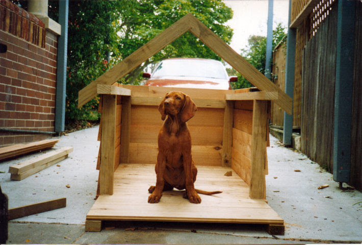 Dog Houses 101: How To Choose The Best Dog House... Or ...