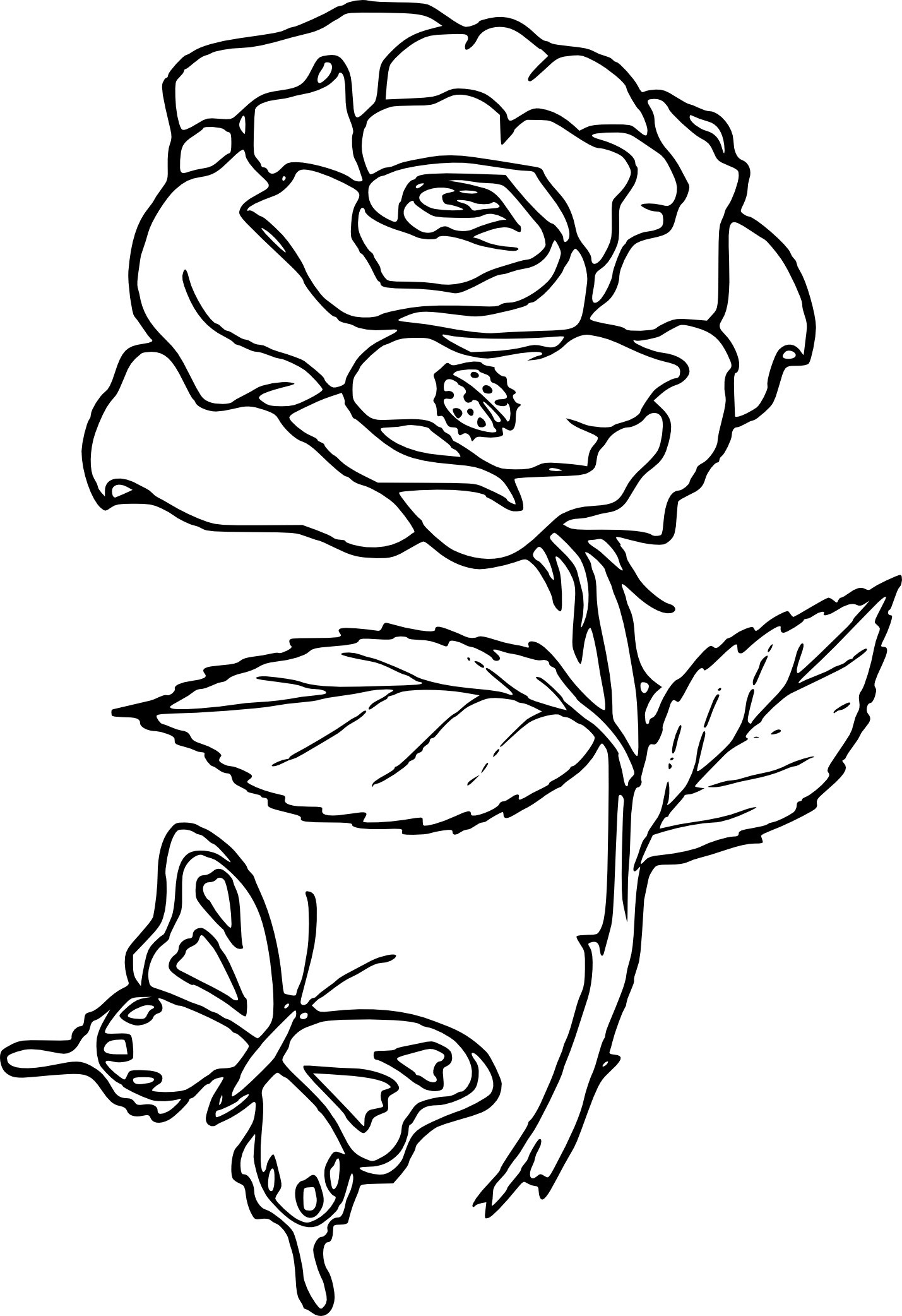Coloriage rose fleur à imprimer