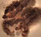 Wool locks, washed and unprocessed