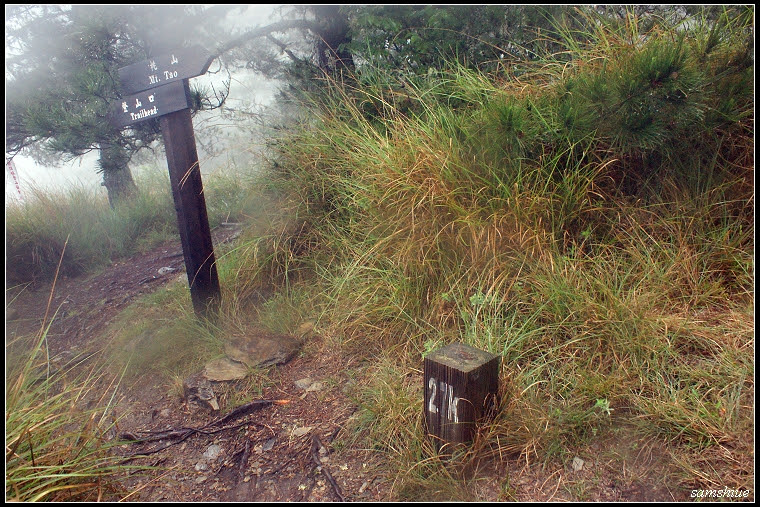 DSC02320