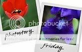 Play PhotoStory Friday