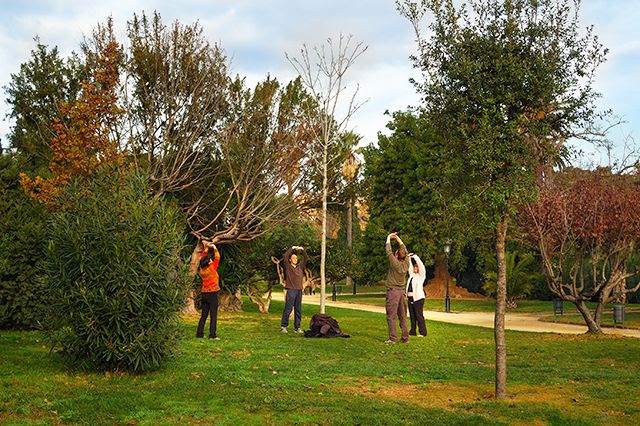 people around tree engaged in outdoor activities at Parc de la Ciutadella [enlarge]