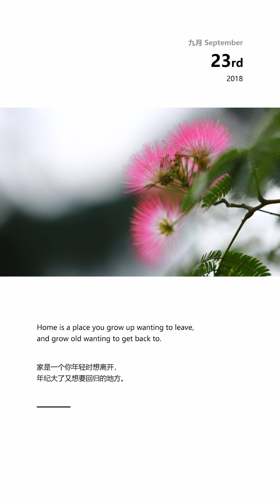 几禾花舍日签丨9月23日美满 分布