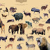African Animals List / African Large Mammals vs. American Large Mammals - Earthly ... - Animals in kruger national park, south africa.