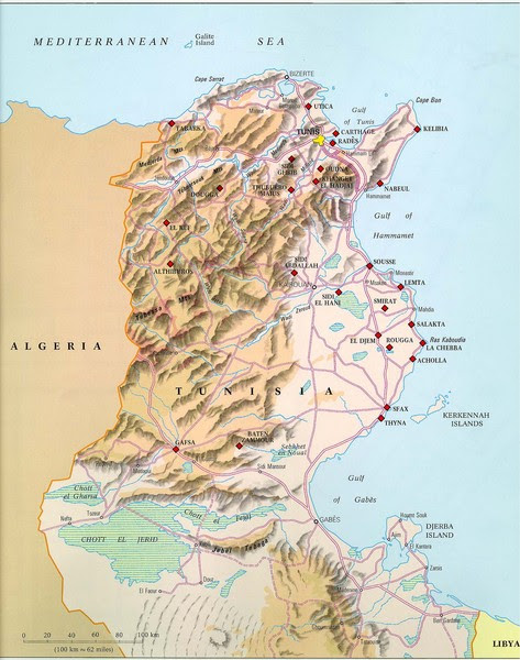 Physical relief map of Tunisia. From vanderbilt.edu