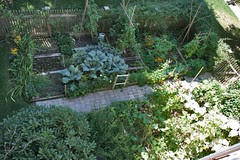 aerial september 4, 2008