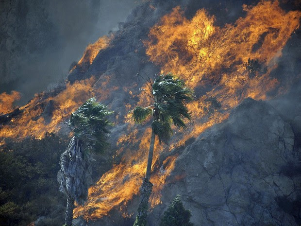 Incêndio na Califórnia atinge vegetação da área; fortes ventos fazem com que as chamas se alastrem rapidamente. (Foto: Reuters)