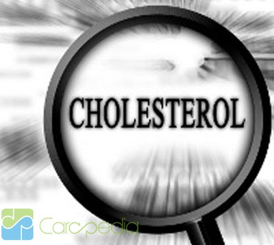 Ciri-ciri Kolesterol Tinggi [ www.BlogApaAja.com ]