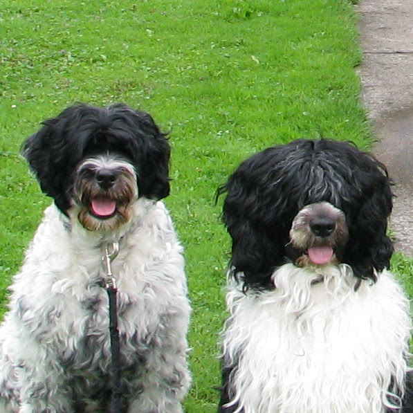Two Happy Porties