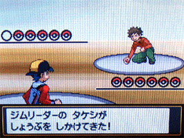 ポケモンスター ハートゴールド ソウルシルバー プレイ日記 カントー編 5 どうぶつの森 と過ごす日々