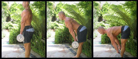 stiff legged deadlift